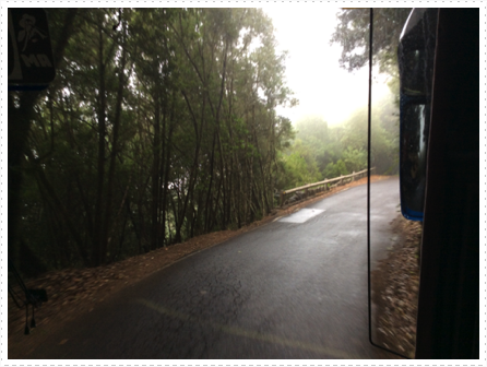 Narrow roads for a two way street Narrow roads for a two way street